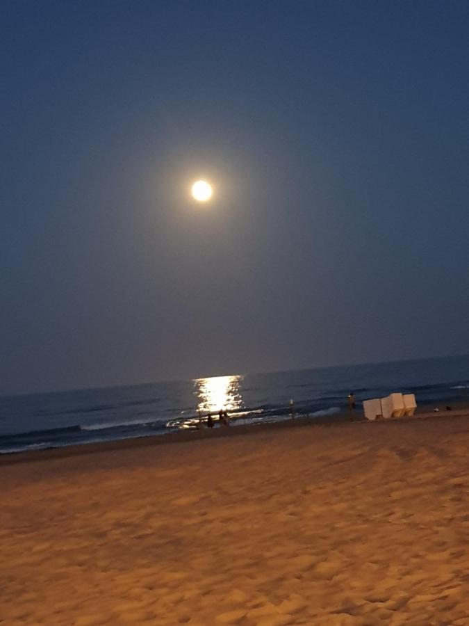 Apartamento En Primera Linea En La Playa De San Juan Benimagrell Bagian luar foto